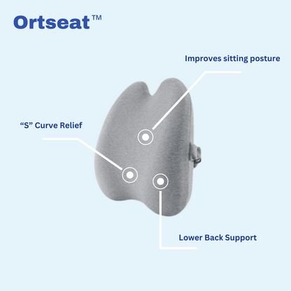 Pressure Relief Seat Cushion & Lumbar Support Set